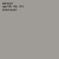 #9F9C97 - Star Dust Color Image